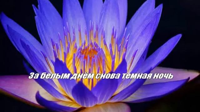 Согдиана Ветер догнать ремикс смотреть онлайн