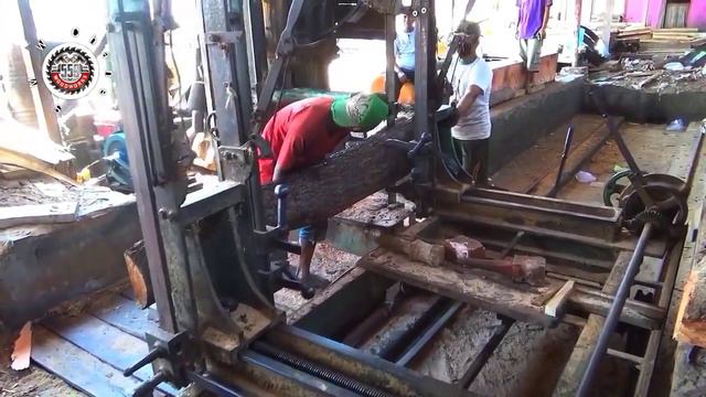 Sawing And Cutting Awesome White Blood Wood || Sawmill смотреть онлайн