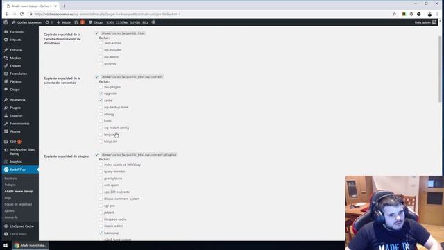 BackWPup para realizar backups en WordPress смотреть онлайн