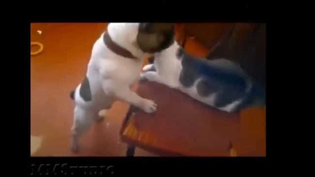 Приходите в гости! смотреть онлайн