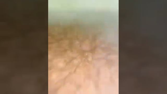 Адыгэ лыбжьэ(мясо тушёное по-кабардински) смотреть онлайн