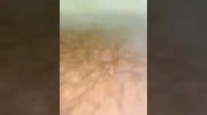 Адыгэ лыбжьэ(мясо тушёное по-кабардински)