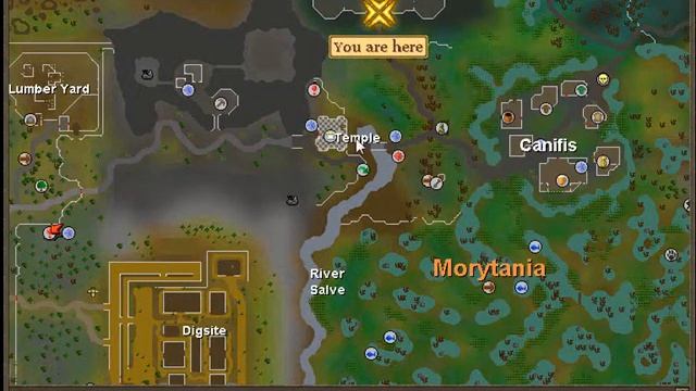 Orcs Slayer Guide- Bloodveld's[Commentary] смотреть онлайн