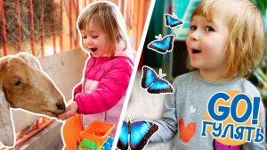 Бьянка и Маша Капуки на Ферме и в Доме Бабочек! - Видео путешествия онлайн. Куда сходить в Москве