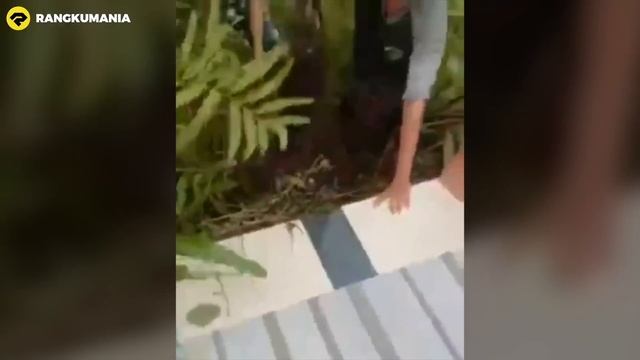 BURUAN TONTON SEBELUM DI HAPUS YOUTUBE!! INI KEJADIAN TAK TERDUGA DI SEMAK-SEMAK!!