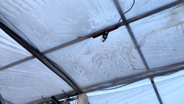 Что такое МОЛЬ? Или как посчитать количество полученного света в Теплице смотреть онлайн