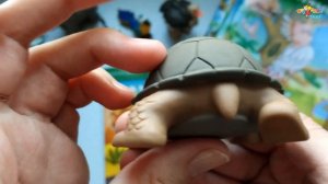 Коллекция DeAGOSTINI "Животные дикой природы" #8