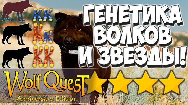 Основы селекции волков! Количество звёзд! WolfQuest: Anniversary Edition