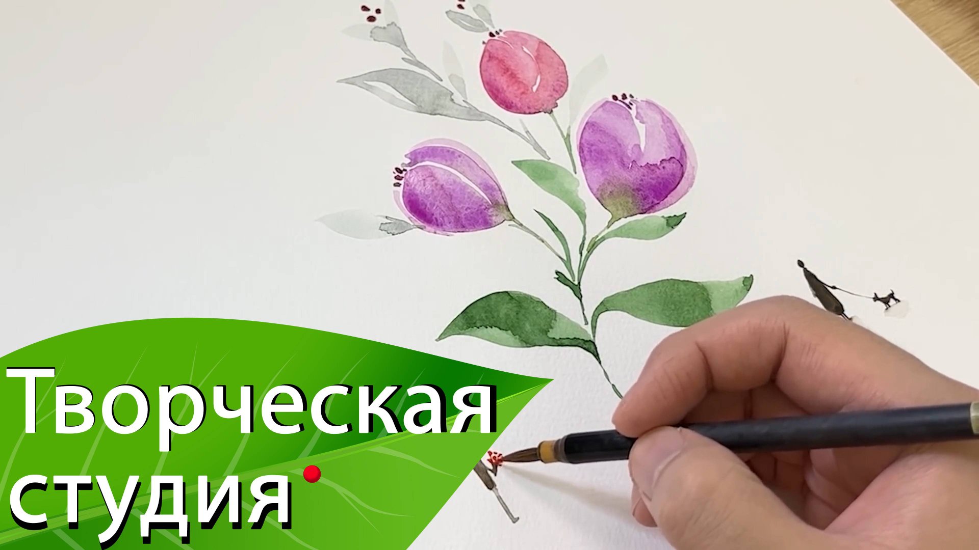 Акварель. Рисуем тюльпаны