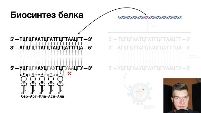 2.67. Как решать задания 28 (C6) на вирусную РНК | Цитология к ЕГЭ | Георгий Мишуровский смотреть онлайн
