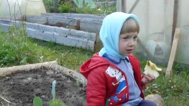 Детская грядка. Какие культуры сажают дети смотреть онлайн