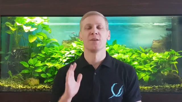 Описание #фридайвингмарафон14 смотреть онлайн