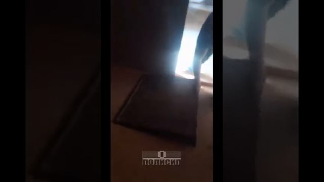 СИП дом ППУ / ЦСП. Один этаж, 145м2 Дмитровский район Мособласти смотреть онлайн