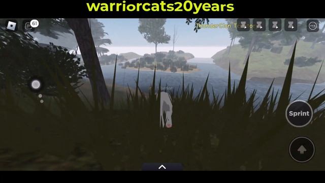 17 MAY *Warrior cat codes 2023 - Warrior Cats Codes Roblox - Codes For Warrior Cats Ultimate Editio смотреть онлайн