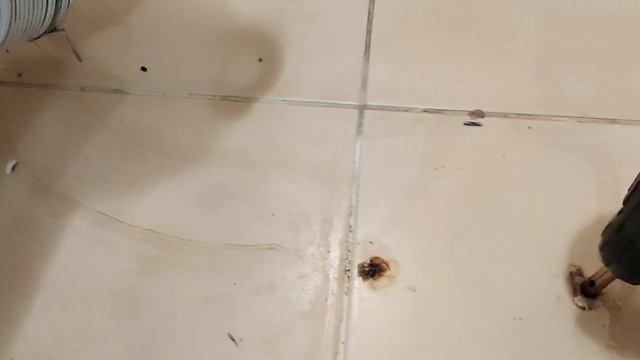 Как БЕЗОПАСНО ВЫТАЩИТЬ СЛОМАННЫЙ БОЛТ КРЕПЛЕНИЯ УНИТАЗА