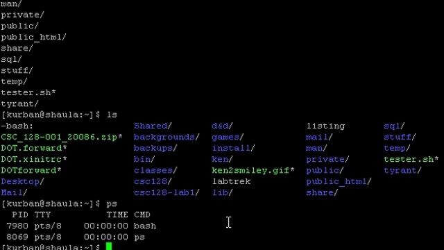 stdout смотреть онлайн