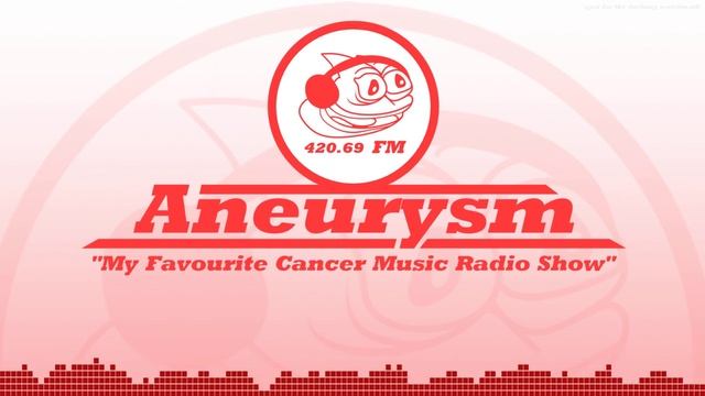 Aneurysm .fm - The Final Episode - Porter Javason - Java Language смотреть онлайн