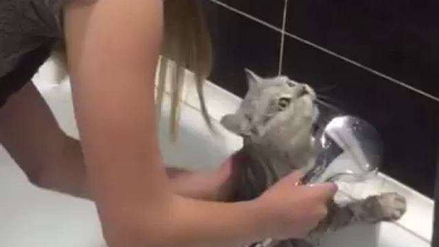 как вода?- нормально! смотреть онлайн