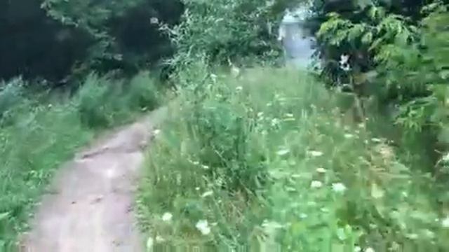 Открытие-Арена.Обедаем на полу.Чудесный вечер.(17.07.21г) смотреть онлайн