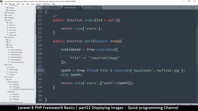 #22 Laravel 8 PHP Framework Basics | Displaying images | Quick programming tutorial смотреть онлайн