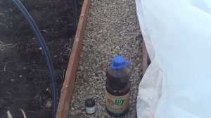 Теплица весна! Обработка от фитофторы, первые всходы в марте!