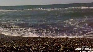 МВД Санаторий,Хоста, пляж в Кудепсте, до Адлера 3 км.