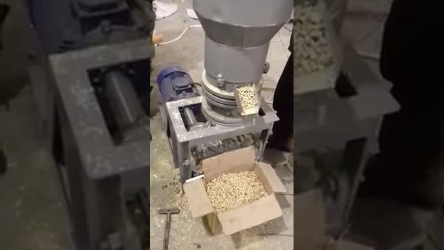 Пеллетайзер - капсулятор для переработки древесной стружки, опила смотреть онлайн