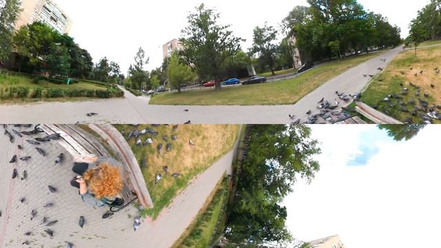 Панорамное Видео 360 VR 4K для очков виртуальной реальности. Кормлю голубей