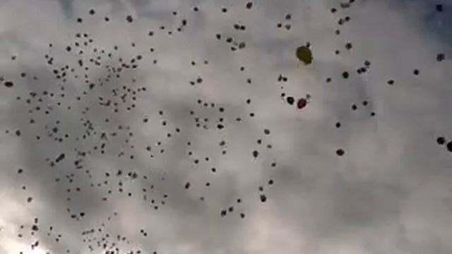 Гимназия 8/Казань/45 лет/2014 год смотреть онлайн