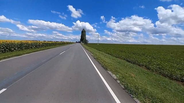 Покатушка в 80 км Июль 2022 смотреть онлайн