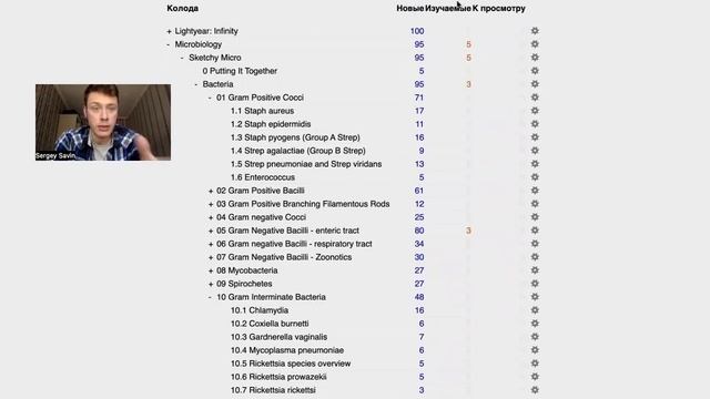 Гайд по работе с Anki