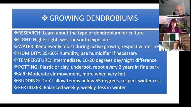 Orchids 101 смотреть онлайн