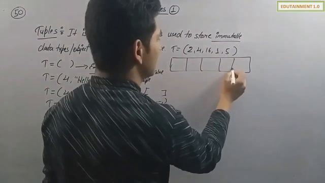 Tuples | Class 11 Computer Science with Python (Video 1) смотреть онлайн