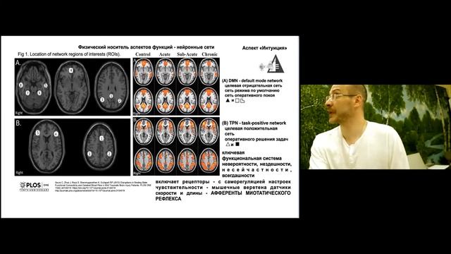 Интуиция и сети нейронов оперативного покоя и оперативного решения задач Криво ЮА смотреть онлайн