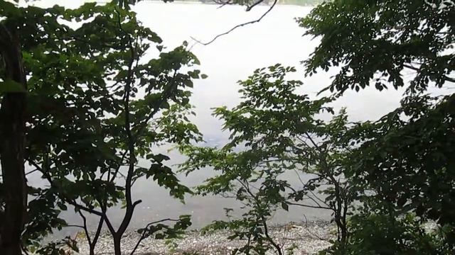 Владивосток, набережная ДВФУ смотреть онлайн