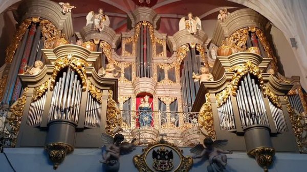 Сезар Франк Орган