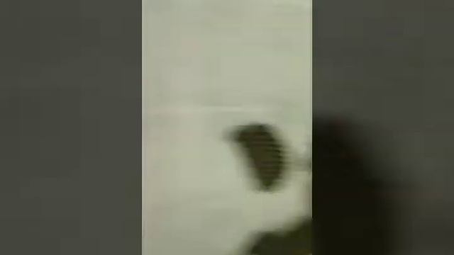 Солигорск ДСК, строит плохо,но говорит что строит хорошо смотреть онлайн