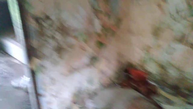 охрана президента охраняет дом