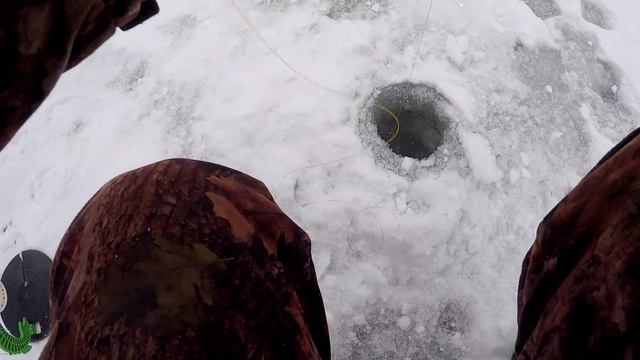 Зимняя РЫБАЛКА🐟 на жерлицы! Щука в мороз/ Будет КЛЕВ ИЛИ?? смотреть онлайн