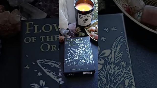 Aries - Flowers of the Night Oracle смотреть онлайн