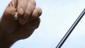 ЛЕСКА или ШНУР для ФИДЕРА? ЛОВЛЯ ЛЕЩА на ФИДЕРНУЮ СНАСТЬ с НОРМУНДОМ ГРАБОВСКИСОМ