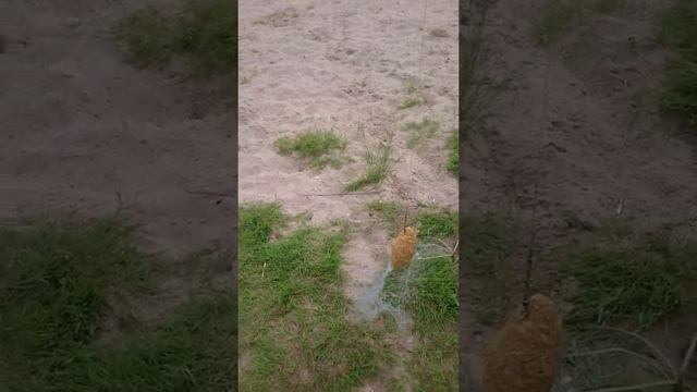 китайская сетка в Ельце смотреть онлайн
