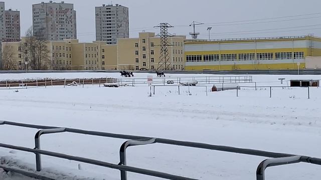 07.02.2021, 4 заезд, групповой смотреть онлайн