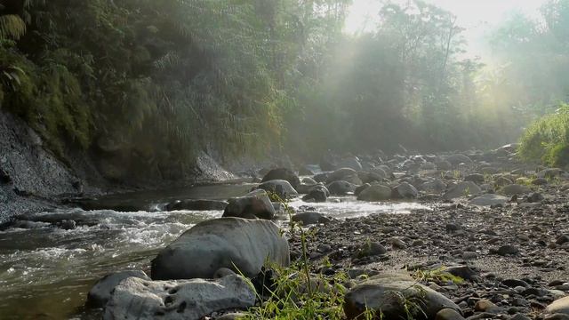 4K (Ultra HD) Горный ручей, умиротворяющая музыка для сна. Релакс. смотреть онлайн