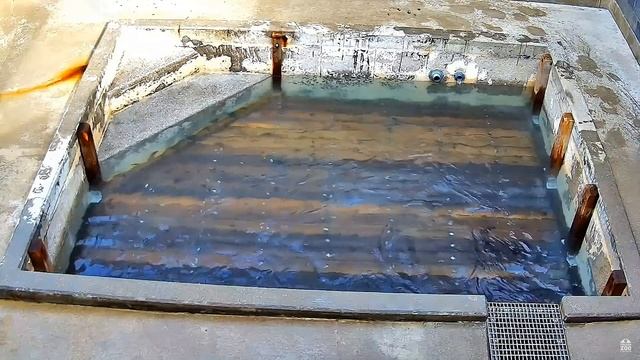 Белая медведица Кристалл и медвежата - Polar bear Crystal and cubs смотреть онлайн