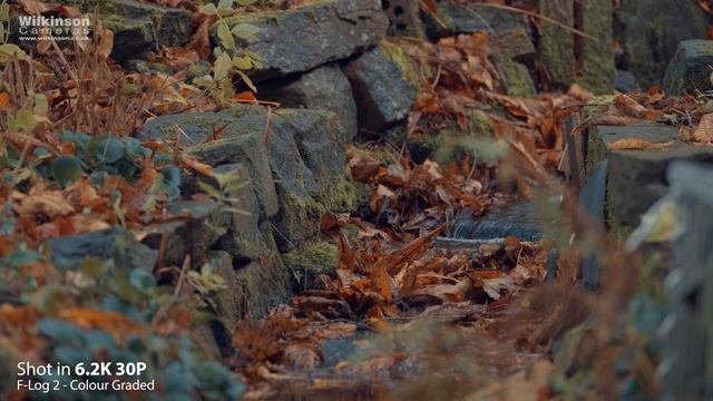 Fujifilm X-T5 - 6.2K Sample Footage