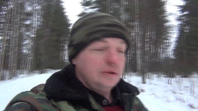 прогулка в лес с сыном увидели тетеревов и зайца следы смотреть онлайн
