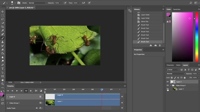 How to Rotoscope in Photoshop CC (Beginner) смотреть онлайн