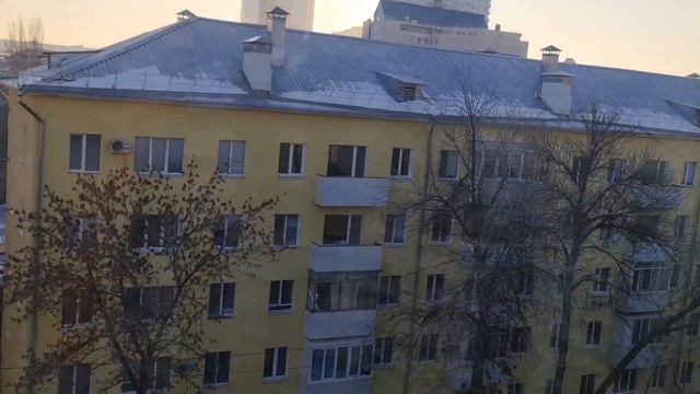 Мороз и солнце,день чудесный! 😊😊😊/ КОРМИМ ГОЛУБОК/Помогите с именем😬🙄/Видео от Лизы😲 смотреть онлайн