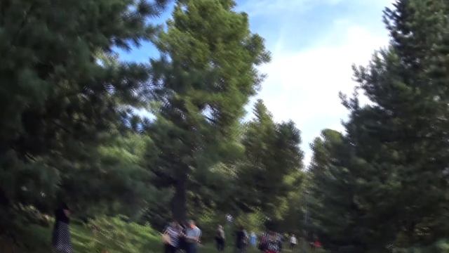 Толгский женский монастырь , икона Толгской Божией Матери смотреть онлайн